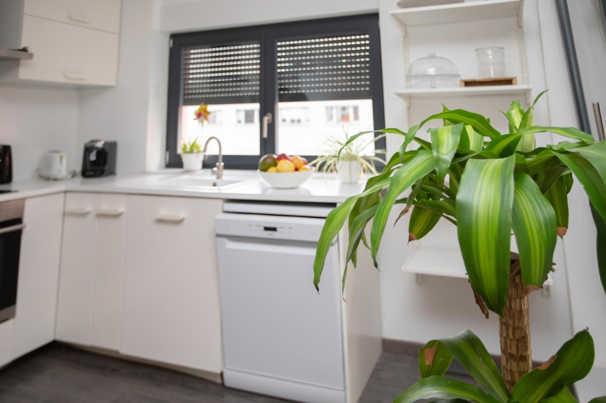 Appartement Moderne Au Centre Ville Strasbourg Ngoại thất bức ảnh