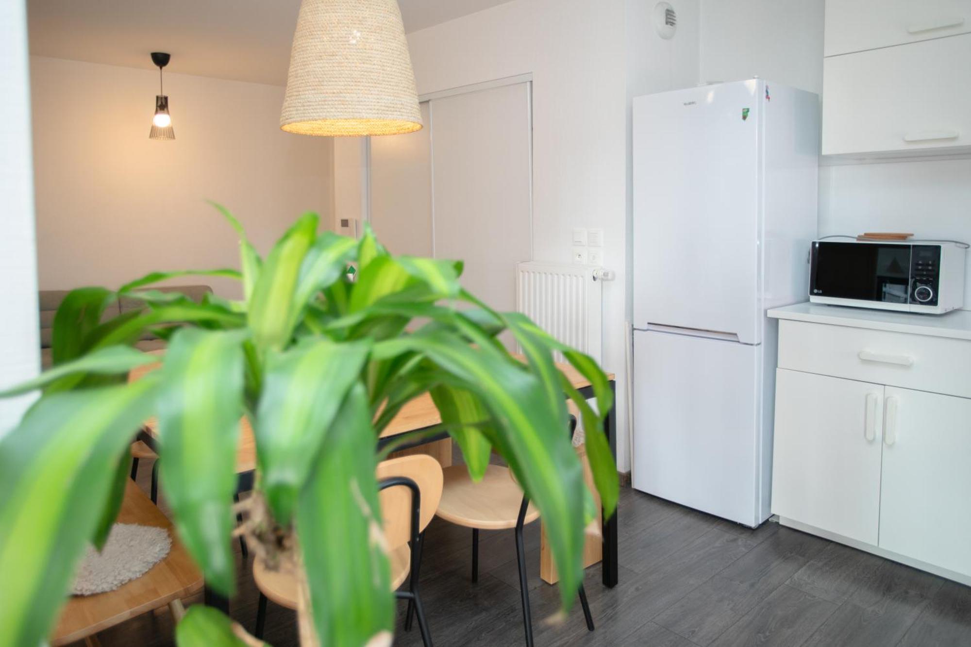 Appartement Moderne Au Centre Ville Strasbourg Ngoại thất bức ảnh